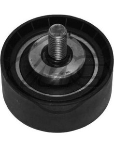 Rodillo Tensor Correa Psa 1.9