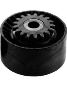 Rodillo Tensor Clio-Iii 1.2