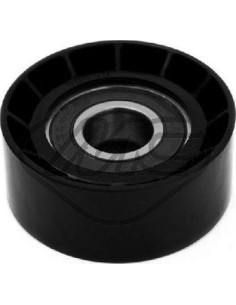 Rodillo Tensor Kangoo 1.4-1.6