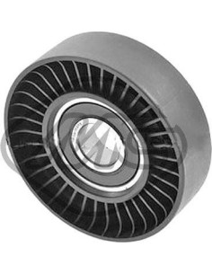 Rodillo Tensor Correa Alterna