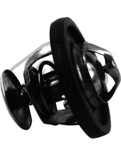 Termostato de refrigerante Ford 30173 Ø 52 mm