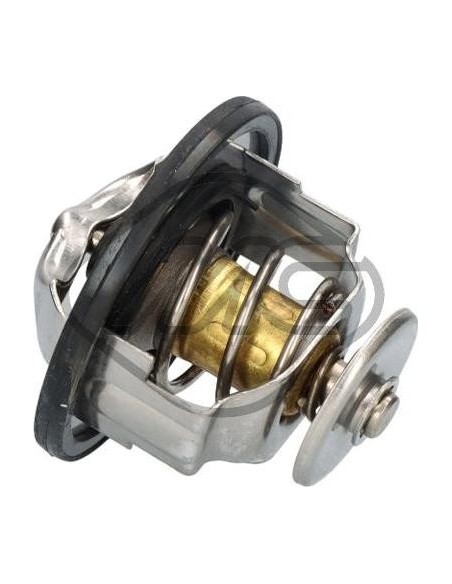 Termostato Nissan Primera