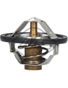 Termostato Nissan 280