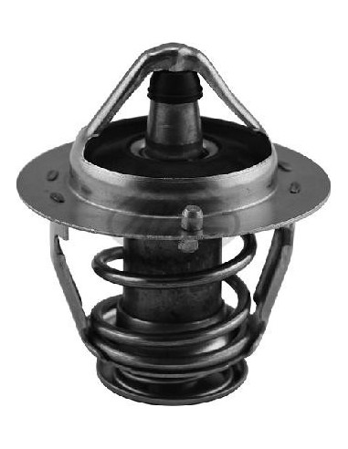 Termostato Hyundai Genesis