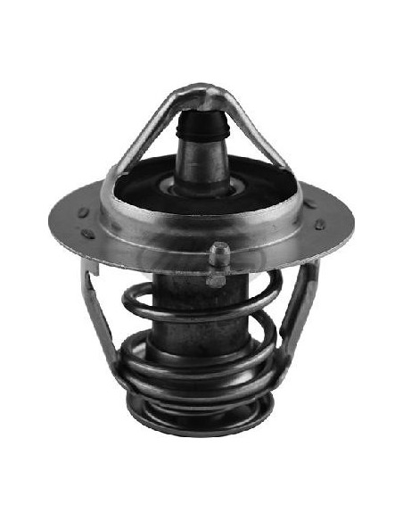 Termostato Hyundai Genesis