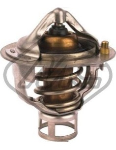 Termostato Nissan Pathfinder