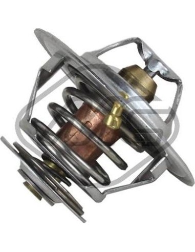 Termostato Refrigerante Movano