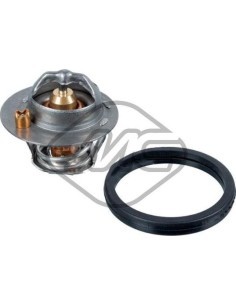 Termostato de refrigerante Ford 30957 Ø 48 mm