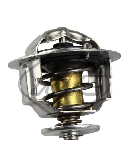 Termostato Refrigerante Nissanx