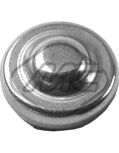 Tapón, orificio de montaje del eje del balancín Ford 32281