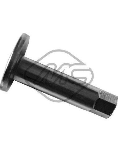 Tornillo Brazo Suspension