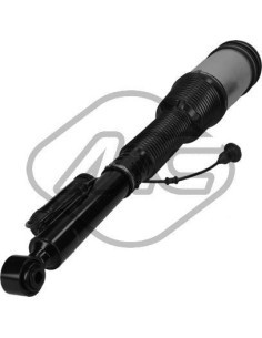 Columna Neumática Trasera