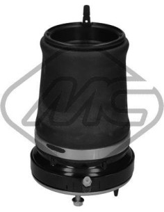 Muelle Neumático Delantero