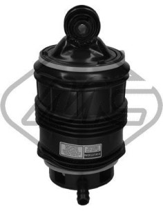 Muelle Neumático Trasero I