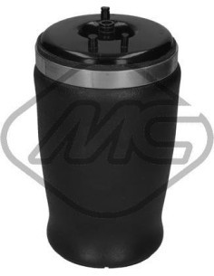 Muelle Neumático Trasero I