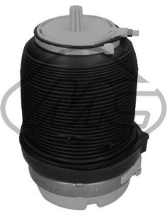 Muelle Neumático Trasero A