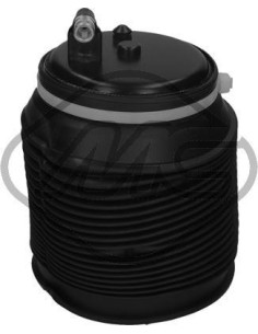 Muelle Neumático Trasero D