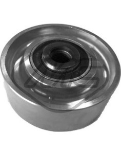 Rodillo Tensor Correa Alternador