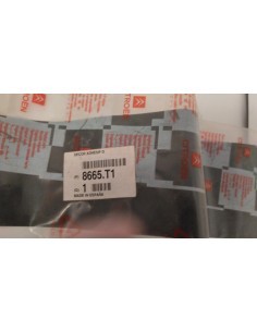 ADHESIVO DECORATIVO PUERTA	PEUGEOT CITROEN DS OPEL	OEM...