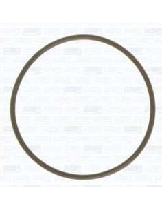 14459681