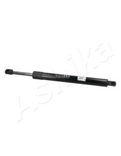 ZSA04060