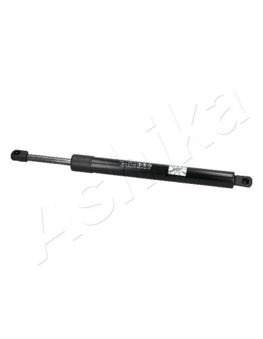 ZSA04060