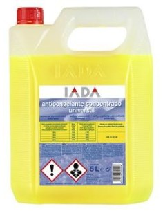 Anticongelante 60520 ANTICONGELANTE HIELO