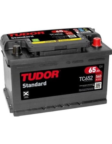 Batería Gama Standard 65Ah 540A 278x175x175