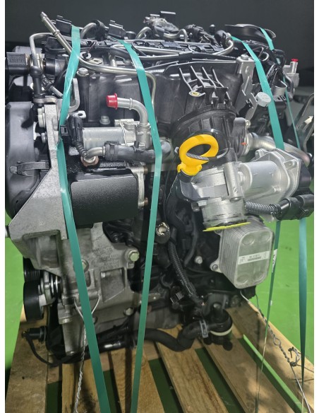 Motor Completo CAYC