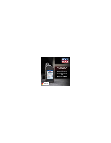 Aceite de compresor Liqui Moly 5W40 1187
