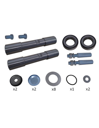 Kit de reparación de mangueta Isuzu Serie N (2 Ruedas)