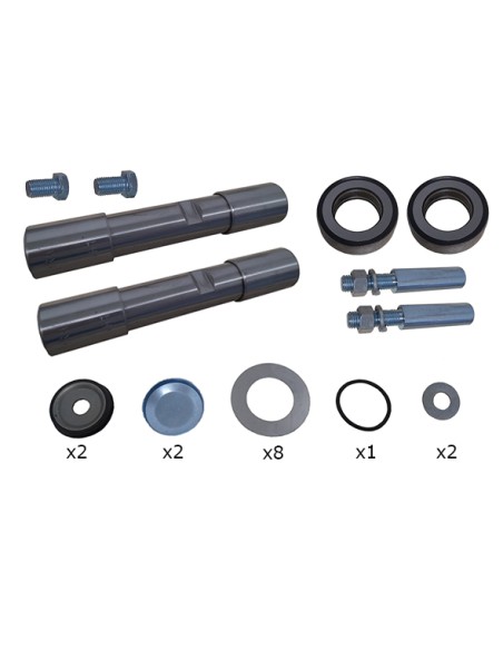 Kit de reparación de mangueta Isuzu Serie N (2 Ruedas)