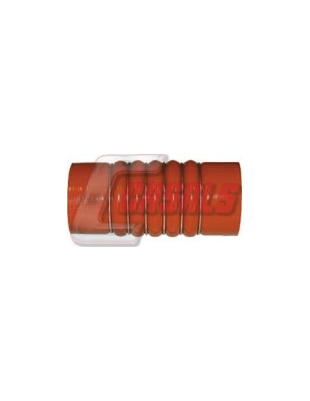 Manguito De Intercooler MAN CASALS 33243