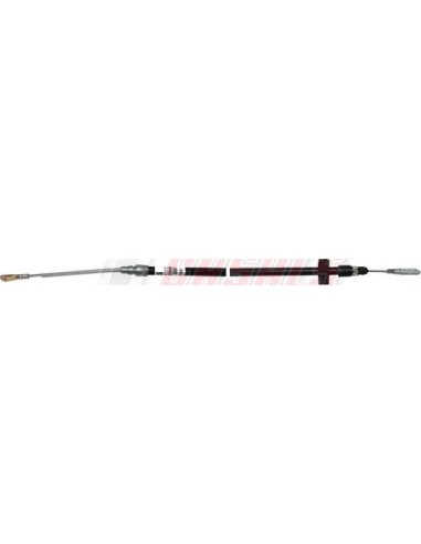 Cable O Latiguillo MERCEDES CASALS 66514