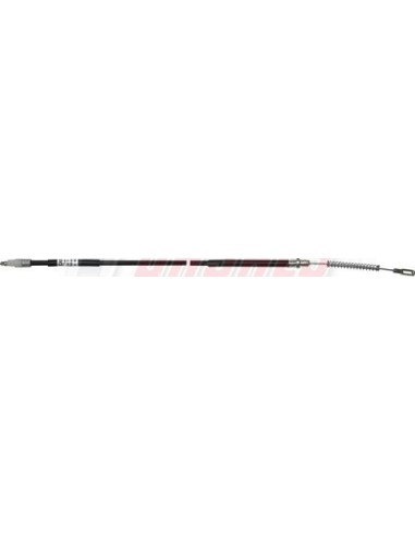 Cable O Latiguillo MERCEDES CASALS 66526