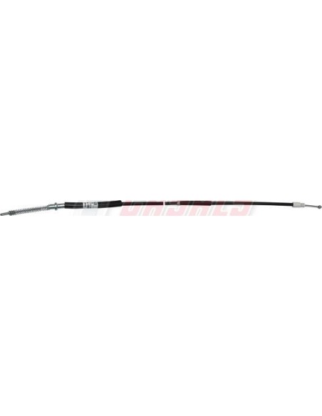 Cable O Latiguillo MERCEDES CASALS 66541