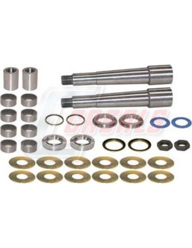 Kit De Reparación De Mangueta MAN DAF CASALS 69121
