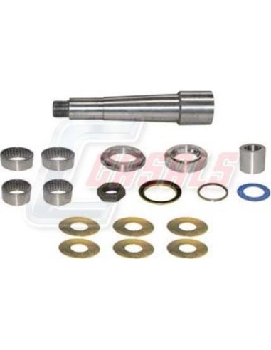 Kit De Reparación De Mangueta MAN DAF CASALS 69123