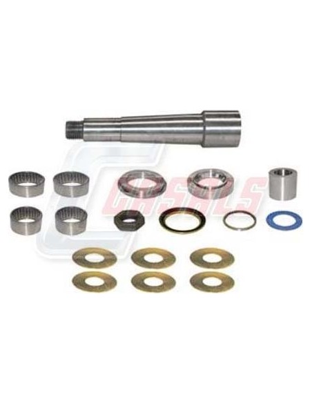 Kit De Reparación De Mangueta MAN DAF CASALS 69123