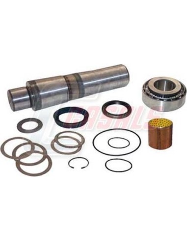 Kit De Reparación De Mangueta MAN SCANIA CASALS...