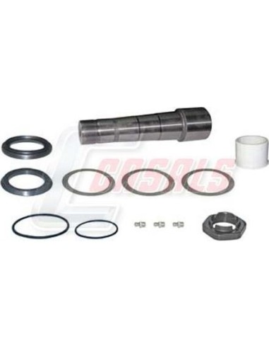 Kit De Reparación De Mangueta MAN RENAULT...