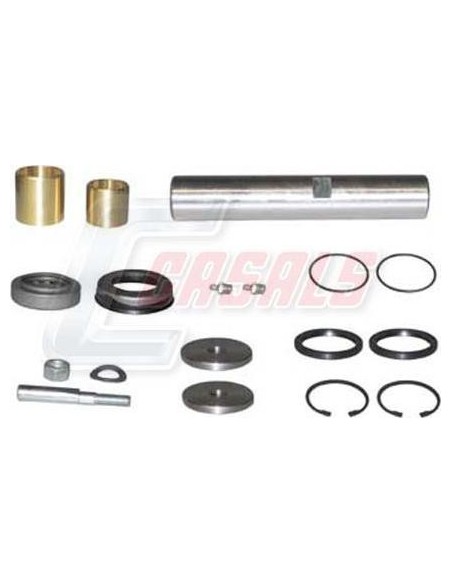 Kit De Reparación De Mangueta MAN RENAULT CASALS 69162