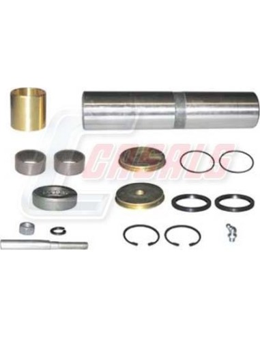 Kit De Reparación De Mangueta MAN RENAULT...