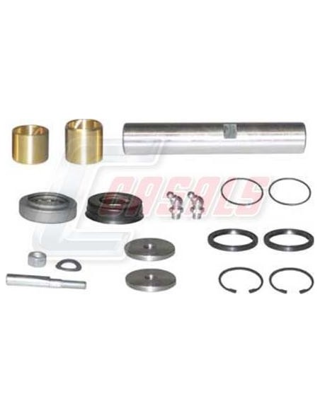 Kit De Reparación De Mangueta MAN RENAULT CASALS 69164