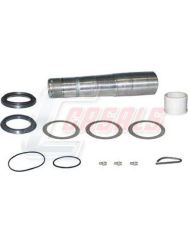 Kit De Reparación De Mangueta MAN VOLVO CASALS...