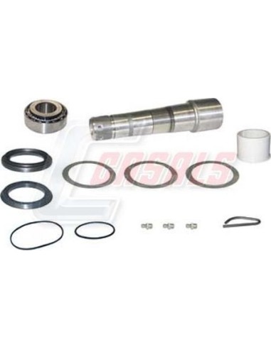Kit De Reparación De Mangueta MAN VOLVO CASALS...