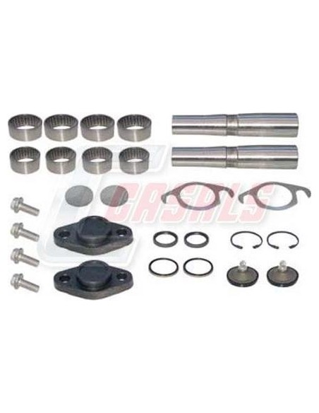 Kit De Reparación De Mangueta MAN IVECO CASALS 69183