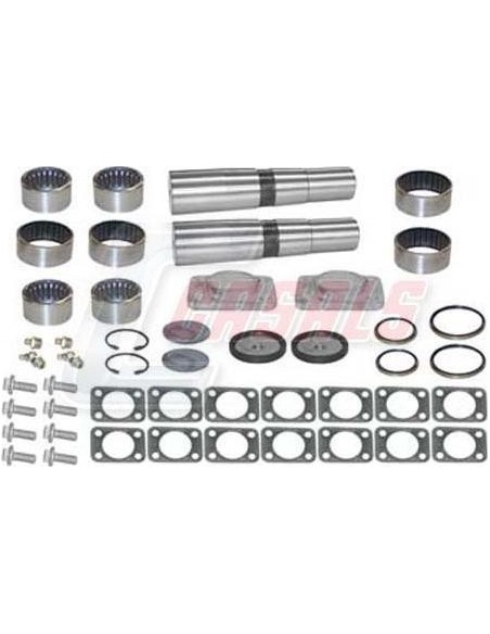 Kit De Reparación De Mangueta MAN IVECO CASALS 69184