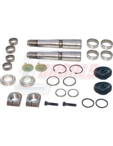 Kit De Reparación De Mangueta MAN IVECO CASALS...