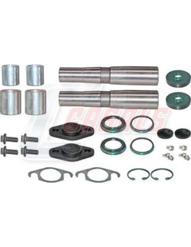 Kit De Reparación De Mangueta MAN IVECO CASALS...